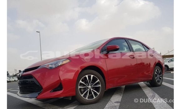 Buy Import Toyota Corolla Red Car in Import - Dubai in Akmecet Buy Import Toyota Corolla Red Car in Import - Dubai in Akmecet