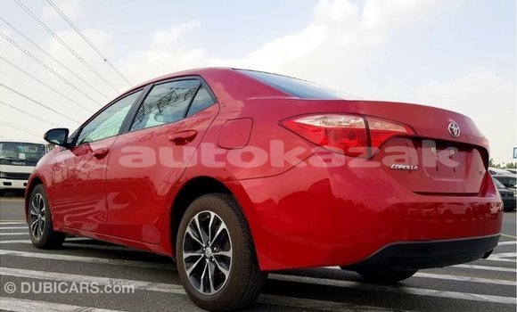 Buy Import Toyota Corolla Red Car in Import - Dubai in Akmecet Buy Import Toyota Corolla Red Car in Import - Dubai in Akmecet