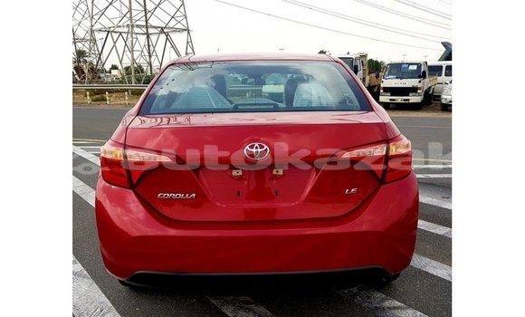 Buy Import Toyota Corolla Red Car in Import - Dubai in Akmecet Buy Import Toyota Corolla Red Car in Import - Dubai in Akmecet