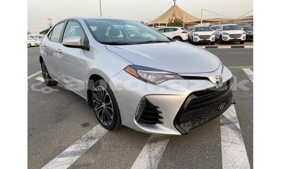 Buy Import Toyota Corolla Other Car in Import - Dubai in Akmecet Buy Import Toyota Corolla Other Car in Import - Dubai in Akmecet