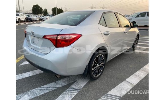 Buy Import Toyota Corolla Other Car in Import - Dubai in Akmecet Buy Import Toyota Corolla Other Car in Import - Dubai in Akmecet