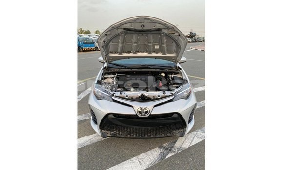 Buy Import Toyota Corolla Other Car in Import - Dubai in Akmecet Buy Import Toyota Corolla Other Car in Import - Dubai in Akmecet