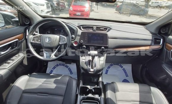 Buy Import Honda C Other Bike in Import - Dubai in Akmecet Buy Import Honda C Other Bike in Import - Dubai in Akmecet