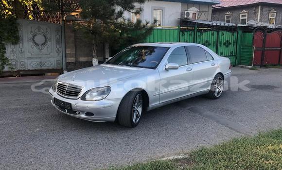 Buy Used Mercedes-Benz S–Class Silver Car in Almaty in Almati