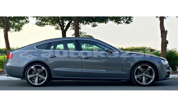 Buy Import Audi 100 Other Car in Import - Dubai in Akmecet Buy Import Audi 100 Other Car in Import - Dubai in Akmecet