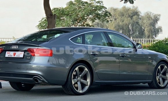 Buy Import Audi 100 Other Car in Import - Dubai in Akmecet Buy Import Audi 100 Other Car in Import - Dubai in Akmecet