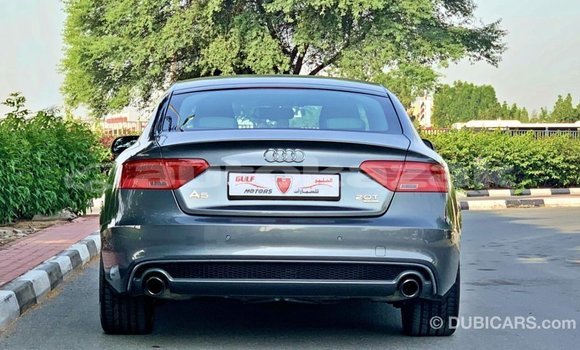 Buy Import Audi 100 Other Car in Import - Dubai in Akmecet Buy Import Audi 100 Other Car in Import - Dubai in Akmecet