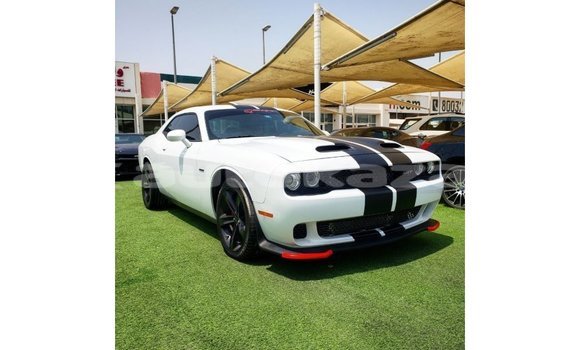 Buy Import Dodge Challenger White Car in Import - Dubai in Akmecet