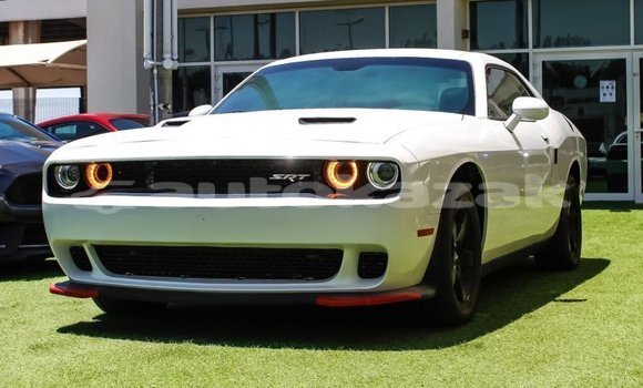 Buy Import Dodge Challenger White Car in Import - Dubai in Akmecet
