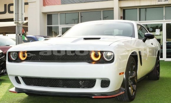 Buy Import Dodge Challenger White Car in Import - Dubai in Akmecet