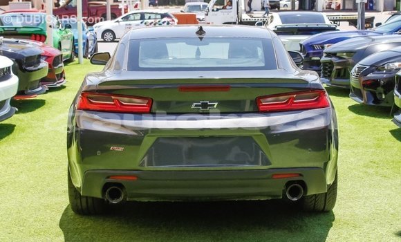 Buy Import Chevrolet Camaro Other Car in Import - Dubai in Akmecet Buy Import Chevrolet Camaro Other Car in Import - Dubai in Akmecet