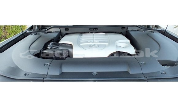 Buy Import Lexus LX Other Car in Import - Dubai in Akmecet Buy Import Lexus LX Other Car in Import - Dubai in Akmecet