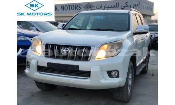 Buy Import Toyota Prado White Car in Import - Dubai in Akmecet