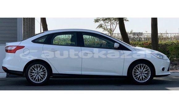 Buy Import Ford Focus White Car in Import - Dubai in Akmecet Buy Import Ford Focus White Car in Import - Dubai in Akmecet