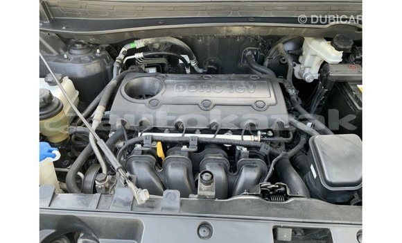 Buy Import Kia Sportage Black Car in Import - Dubai in Akmecet Buy Import Kia Sportage Black Car in Import - Dubai in Akmecet