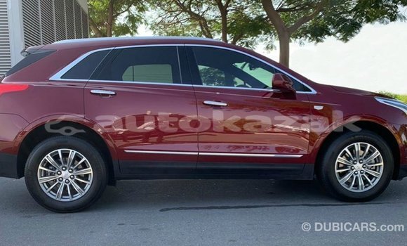 Buy Import Cadillac XT5 Red Car in Import - Dubai in Akmecet Buy Import Cadillac XT5 Red Car in Import - Dubai in Akmecet