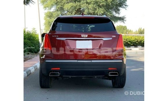 Buy Import Cadillac XT5 Red Car in Import - Dubai in Akmecet Buy Import Cadillac XT5 Red Car in Import - Dubai in Akmecet