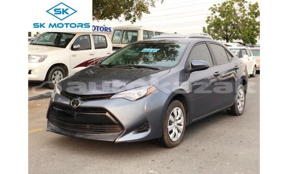 Buy Import Toyota Corolla Other Car in Import - Dubai in Akmecet