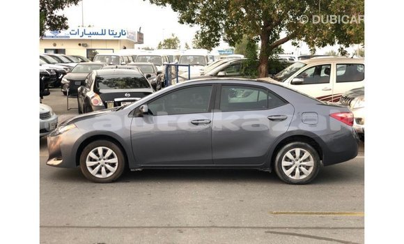 Buy Import Toyota Corolla Other Car in Import - Dubai in Akmecet Buy Import Toyota Corolla Other Car in Import - Dubai in Akmecet