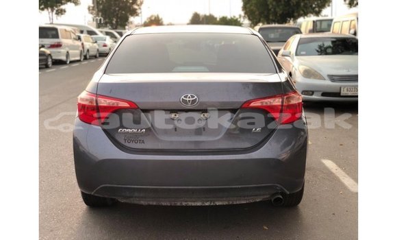 Buy Import Toyota Corolla Other Car in Import - Dubai in Akmecet Buy Import Toyota Corolla Other Car in Import - Dubai in Akmecet