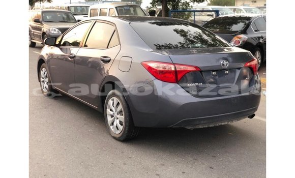 Buy Import Toyota Corolla Other Car in Import - Dubai in Akmecet Buy Import Toyota Corolla Other Car in Import - Dubai in Akmecet