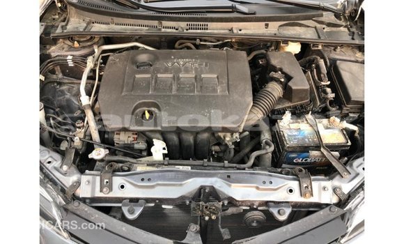 Buy Import Toyota Corolla Other Car in Import - Dubai in Akmecet Buy Import Toyota Corolla Other Car in Import - Dubai in Akmecet