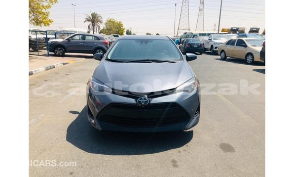 Buy Import Toyota Corolla Other Car in Import - Dubai in Akmecet Buy Import Toyota Corolla Other Car in Import - Dubai in Akmecet