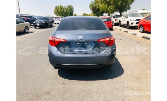 Buy Import Toyota Corolla Other Car in Import - Dubai in Akmecet Buy Import Toyota Corolla Other Car in Import - Dubai in Akmecet