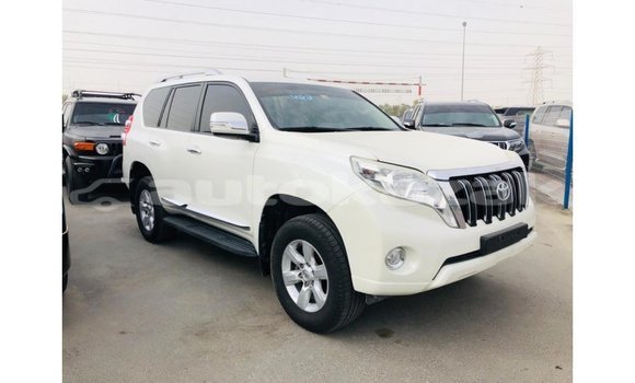Buy Import Toyota Prado White Car in Import - Dubai in Akmecet
