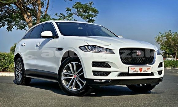 Buy Import Jaguar F-Pace White Car in Import - Dubai in Akmecet