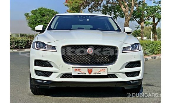 Buy Import Jaguar F-Pace White Car in Import - Dubai in Akmecet Buy Import Jaguar F-Pace White Car in Import - Dubai in Akmecet