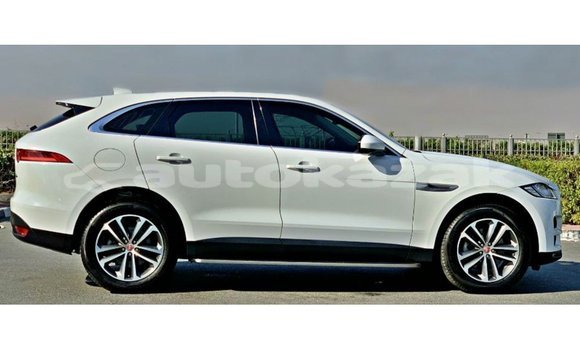 Buy Import Jaguar F-Pace White Car in Import - Dubai in Akmecet Buy Import Jaguar F-Pace White Car in Import - Dubai in Akmecet