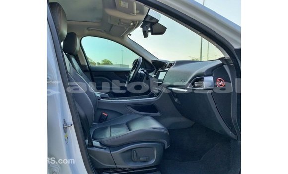 Buy Import Jaguar F-Pace White Car in Import - Dubai in Akmecet Buy Import Jaguar F-Pace White Car in Import - Dubai in Akmecet