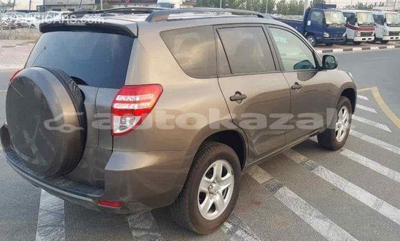Buy Import Toyota 4Runner Brown Car in Import - Dubai in Akmecet Buy Import Toyota 4Runner Brown Car in Import - Dubai in Akmecet