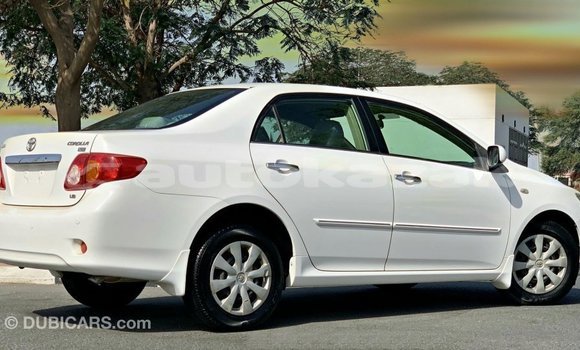 Buy Import Toyota Corolla White Car in Import - Dubai in Akmecet Buy Import Toyota Corolla White Car in Import - Dubai in Akmecet