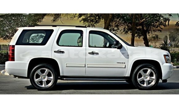 Buy Import Chevrolet Tahoe White Car in Import - Dubai in Akmecet Buy Import Chevrolet Tahoe White Car in Import - Dubai in Akmecet