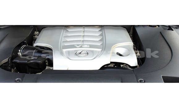 Buy Import Lexus LX White Car in Import - Dubai in Akmecet Buy Import Lexus LX White Car in Import - Dubai in Akmecet