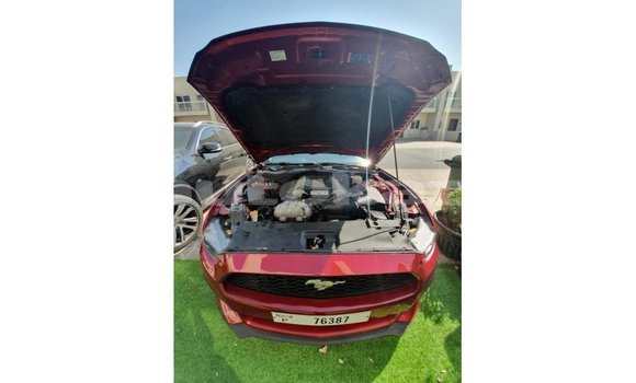 Buy Import Ford Mustang Red Car in Import - Dubai in Akmecet Buy Import Ford Mustang Red Car in Import - Dubai in Akmecet