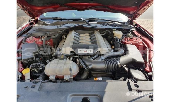 Buy Import Ford Mustang Red Car in Import - Dubai in Akmecet Buy Import Ford Mustang Red Car in Import - Dubai in Akmecet