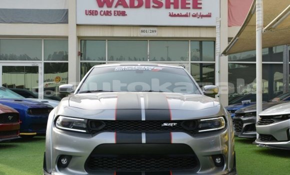 Buy Import Dodge Charger Other Car in Import - Dubai in Akmecet
