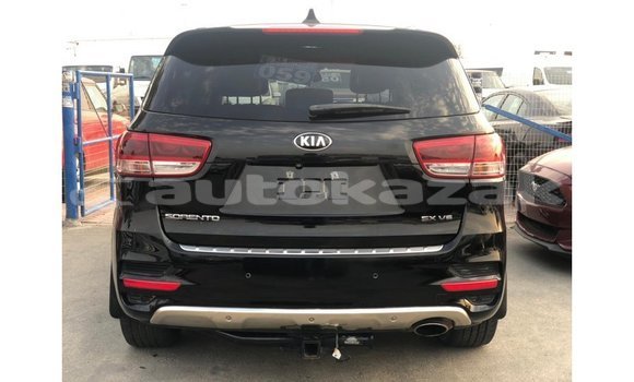 Buy Import Kia Sorento Black Car in Import - Dubai in Akmecet Buy Import Kia Sorento Black Car in Import - Dubai in Akmecet