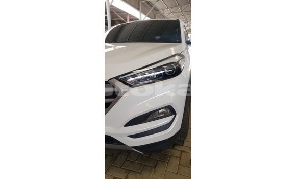 Buy Import Hyundai Tucson White Car in Import - Dubai in Akmecet Buy Import Hyundai Tucson White Car in Import - Dubai in Akmecet
