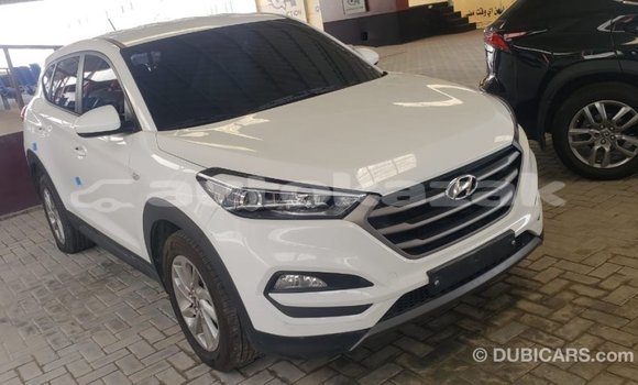 Buy Import Hyundai Tucson White Car in Import - Dubai in Akmecet Buy Import Hyundai Tucson White Car in Import - Dubai in Akmecet