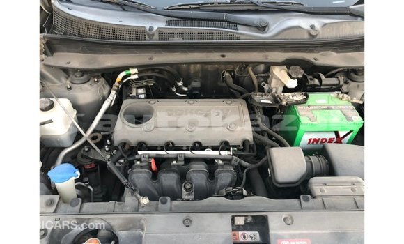 Buy Import Kia Sportage Other Car in Import - Dubai in Akmecet Buy Import Kia Sportage Other Car in Import - Dubai in Akmecet