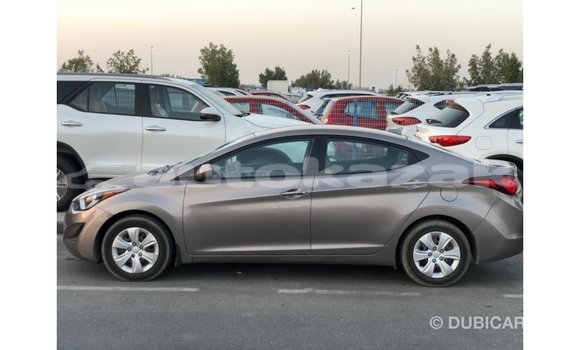 Buy Import Hyundai Elantra Brown Car in Import - Dubai in Akmecet Buy Import Hyundai Elantra Brown Car in Import - Dubai in Akmecet