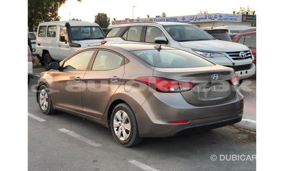 Buy Import Hyundai Elantra Brown Car in Import - Dubai in Akmecet Buy Import Hyundai Elantra Brown Car in Import - Dubai in Akmecet