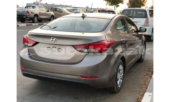 Buy Import Hyundai Elantra Brown Car in Import - Dubai in Akmecet Buy Import Hyundai Elantra Brown Car in Import - Dubai in Akmecet
