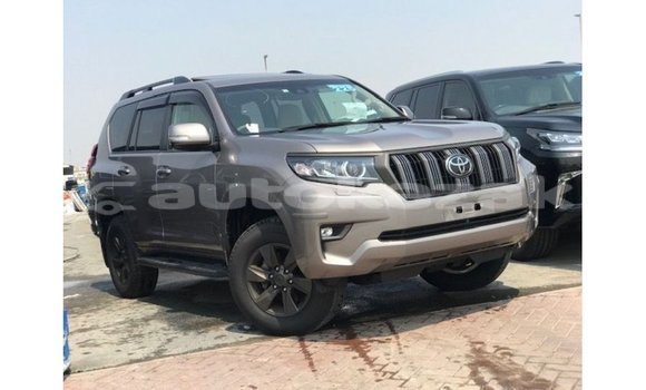 Buy Import Toyota Prado Brown Car in Import - Dubai in Akmecet