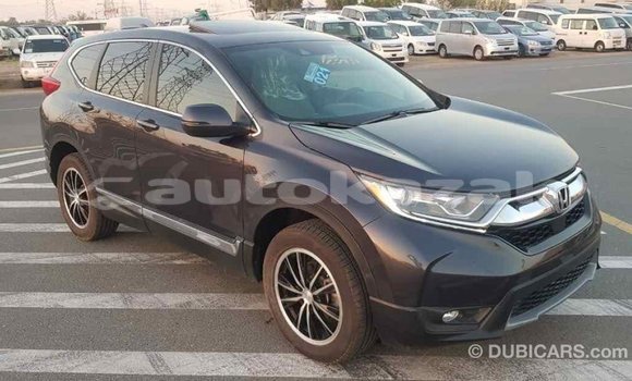 Buy Import Honda C Other Bike in Import - Dubai in Akmecet Buy Import Honda C Other Bike in Import - Dubai in Akmecet