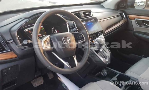 Buy Import Honda C Other Bike in Import - Dubai in Akmecet Buy Import Honda C Other Bike in Import - Dubai in Akmecet